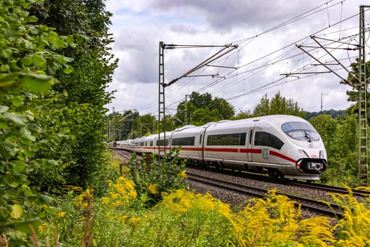 An intercity express train on a railroad track between nature, trees and flowering plants in the countryside