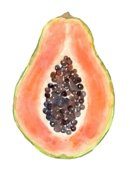 Watercolor cut papaya fruit illustration isolated on white background