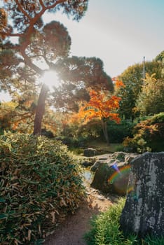 Beautiful Japanese Garden and red trees at autumn seson. A burst of fall color with pond reflections.