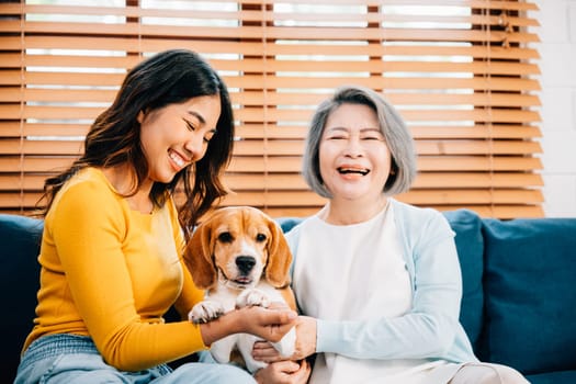 A heartwarming family moment unfolds on the sofa as an Asian woman, her mother, and their Beagle dog bond together at home. Their smiles reflect happiness. Pet love.