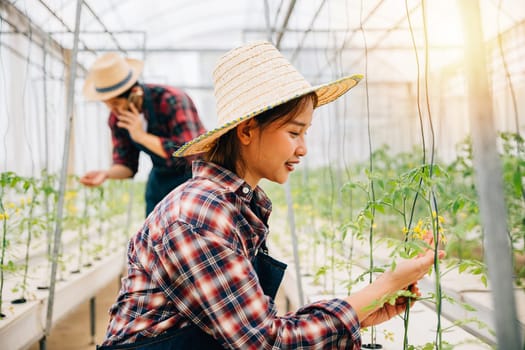 Greenhouse woman entrepreneur checks tomato plants for quality using modern technology. As an owner and scientist she ensures optimal growth and care showcasing happiness in her vegetable farm.