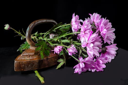 Creative still life with vintage iron with pink chrysanthemum flowers on a black background