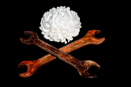 Creative still life with two old rusty wrench with white chrysanthemum flower head on a black background