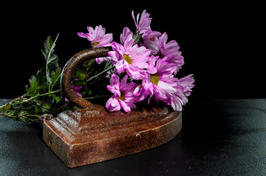 Creative still life with vintage iron with pink chrysanthemum flowers on a black background