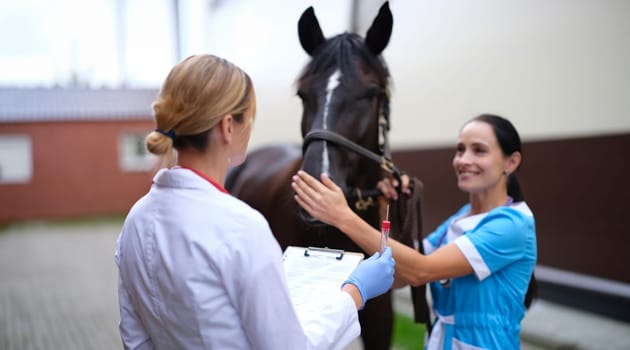 Female veterinarian holding test tube in front of thoroughbred horse. Laboratory diagnosis of pet disease concept