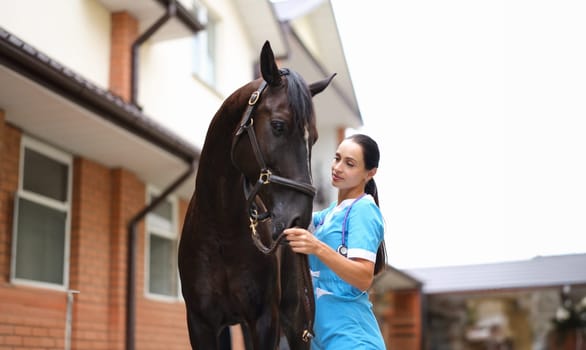 Woman doctor veterinarian stroking thoroughbred horses on farm. Professional veterinary care concept