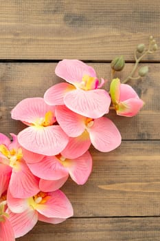vertical image of an artificial pink flower. top view of pink orchid on wooden background. copy space. soft focus. flat lay