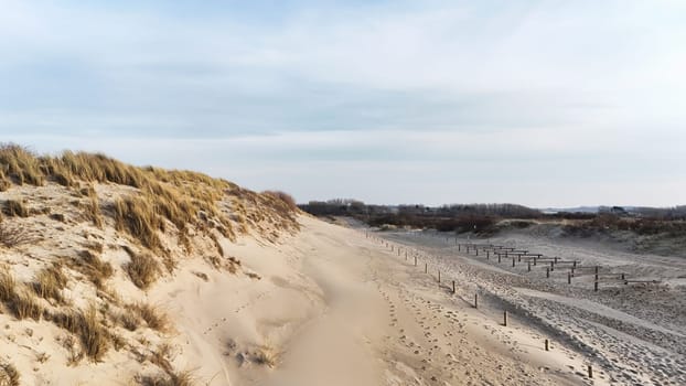 the sandy dunes in holland near ouddorp in zeeland