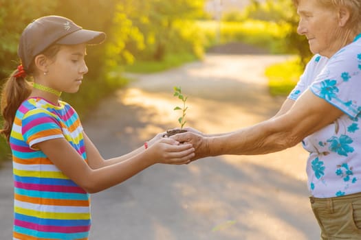 Grandmother and child hold a tree sprout in their hands. Selective focus. Nature.