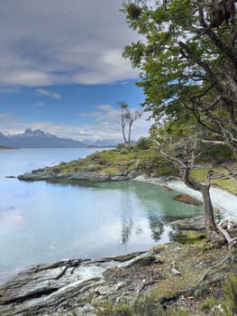 The Argentine landscape of the coast near Ushuaia, trees on the rocky coast, clear water, snow-capped mountains in the background, blue sky with clouds. High quality photo