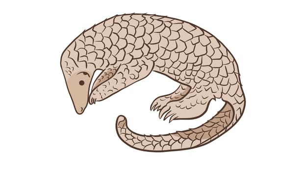 Pangolin or scaly anteater, a scales covered mammal from tropical areas such as Africa and Asia.