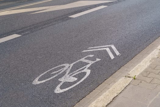 Bicycle sign on a dedicated bike path.