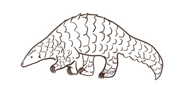 Pangolin or scaly anteater, a scales covered mammal from tropical areas such as Africa and Asia.