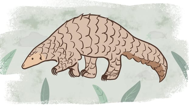 Pangolin or scaly anteater, a scales covered mammal from tropical areas such as Africa and Asia.