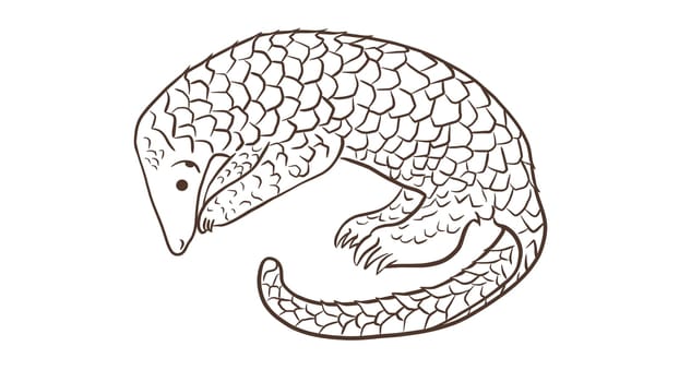 Pangolin or scaly anteater, a scales covered mammal from tropical areas such as Africa and Asia.