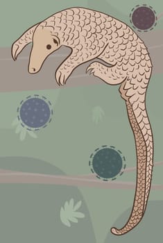 Pangolin or scaly anteater, a scales covered mammal from tropical areas such as Africa and Asia.