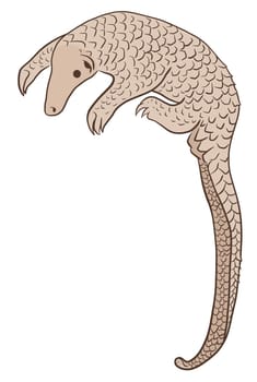 Pangolin or scaly anteater, a scales covered mammal from tropical areas such as Africa and Asia.