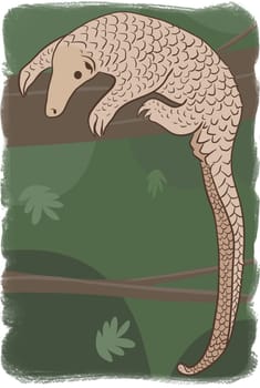 Pangolin or scaly anteater, a scales covered mammal from tropical areas such as Africa and Asia.