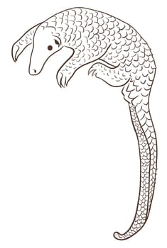 Pangolin or scaly anteater, a scales covered mammal from tropical areas such as Africa and Asia.