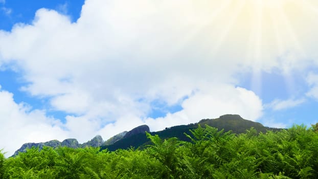 Mount with ferns with the sky in the background in spring.