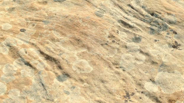 Sandstone on the coast of the Cantabrian Sea. Mount Jaizkibel. Basque Country, Spain.