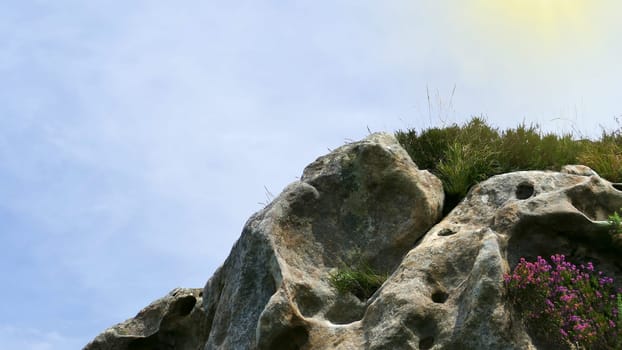 Large stone with erosions and plants in the mountains, Basque Country.