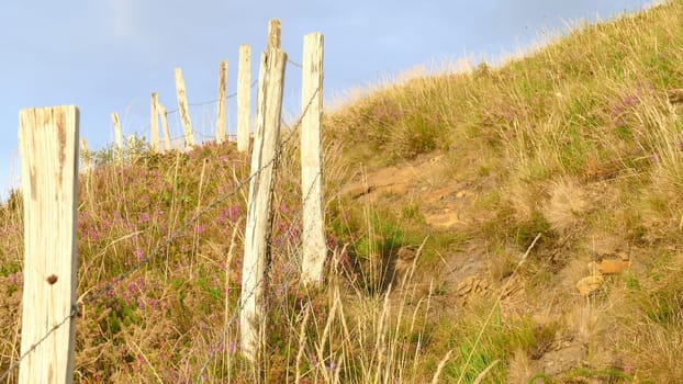 Path, natural way with fence in the mountain