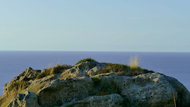 Rock with grass on the coast of the Cantabrian Sea