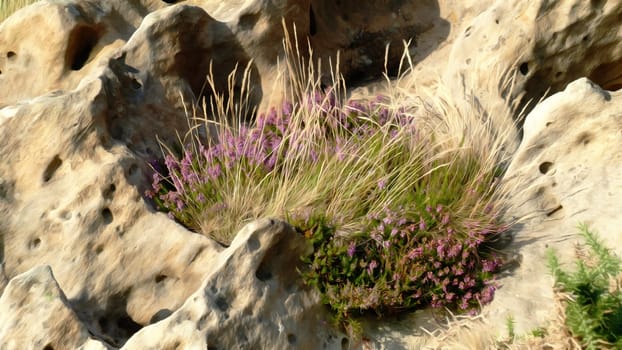 Painting of eroded rocks with herbs.