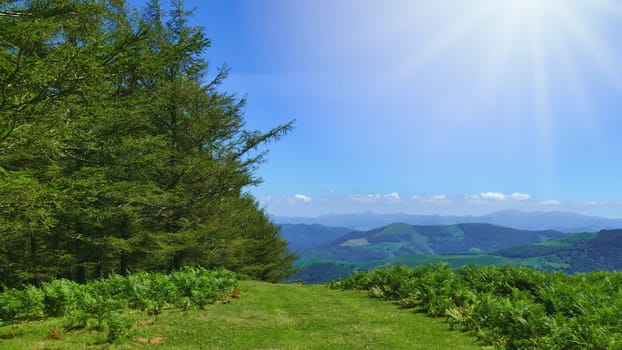 Nature trail at the top of a mountain