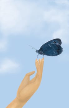 Hand holding a blue butterfly