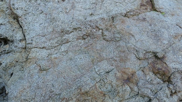 Rock wall in the bush.