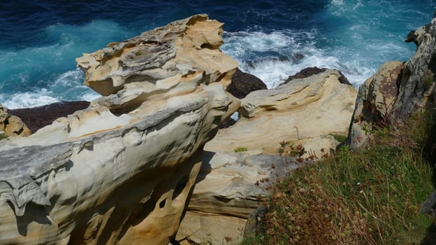 Sandstone with plants on the sea shore