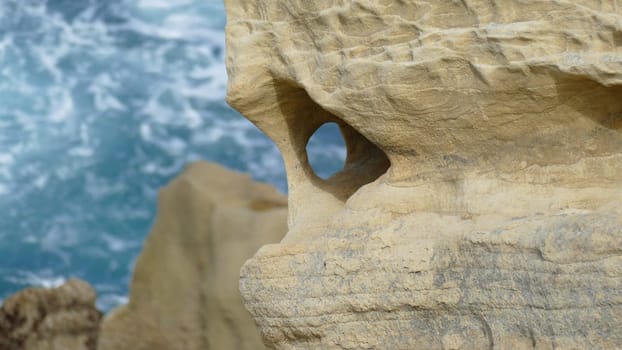 Sandstone with plants on the sea shore