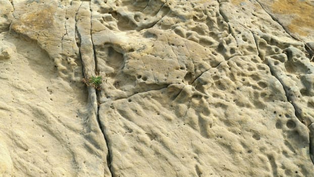 Limestone eroded on the coast of the sea