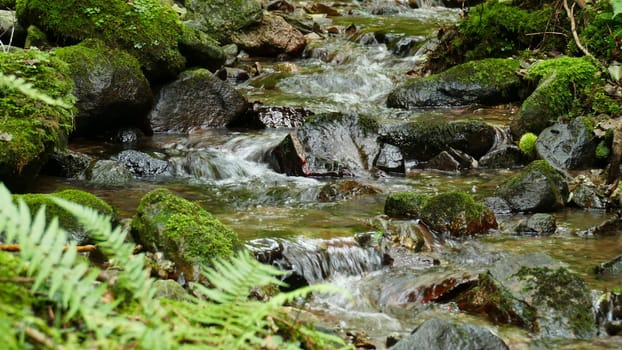 River with big stones and waterfalls in the forest