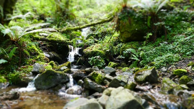 Miniature effect of a natural waterfall between the vegetation and the stones of the forest