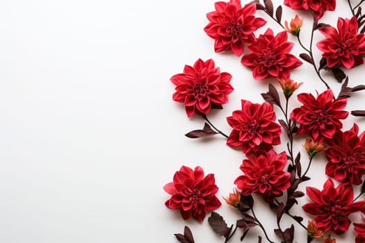 White background with red beautiful flowers on the left and space for text.
