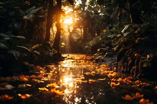 Landscape of a tropical forest with a river in the sun.