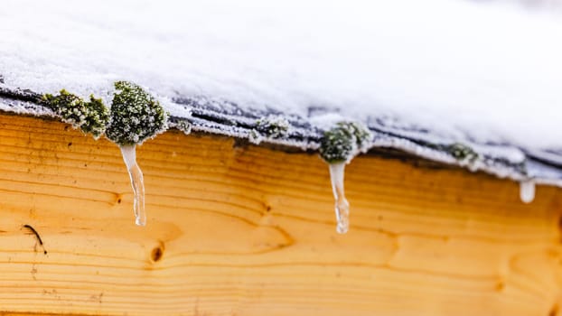 Details of moss and icicles on the snow-covered wooden garden house in the snowy winter