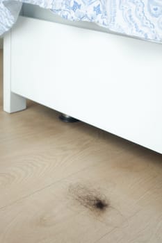 women lost hair drops on floor .