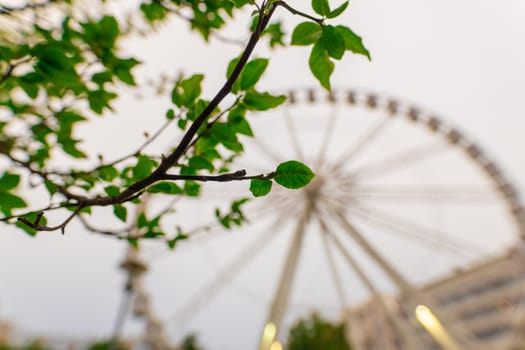 Ferris wheel featuring colourful seating pods against backdrop of sky and green flowers in city park