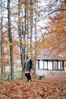 Little girl stands half-turned in the autumn forest, thoughtfully looking into the distance. High quality photo