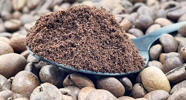 Against the background of roasted aromatic coffee beans lies a metal spoon filled with ground coffee. A drink made from roasted and ground beans from the coffee tree or coffee bush