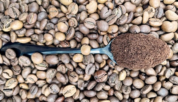 Against the background of roasted aromatic coffee beans lies a metal spoon filled with ground coffee. A drink made from roasted and ground beans from the coffee tree or coffee bush