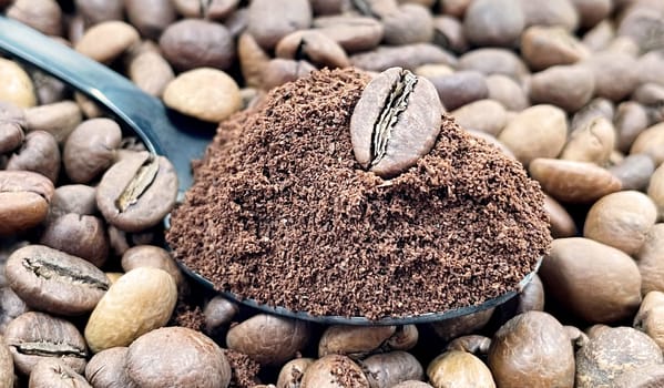 Against the background of roasted aromatic coffee beans lies a metal spoon filled with ground coffee. A drink made from roasted and ground beans from the coffee tree or coffee bush