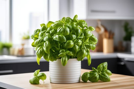 Basil in a pot in the kitchen, blurry kitchen in the background.