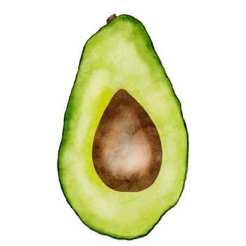 Watercolor clip art drawing of avocado halves with pit on isolated background. Hand drawn illustration of exotic green ripe fruit. Botanical sketch for fresh produce packaging and menu. . High quality illustration