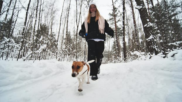 A girl and her Jack Russell Terrier dog are walking in the woods