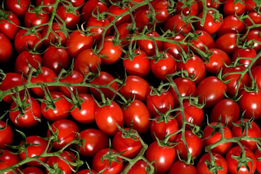 Group of small cherry tomatoes with green stems, top down view